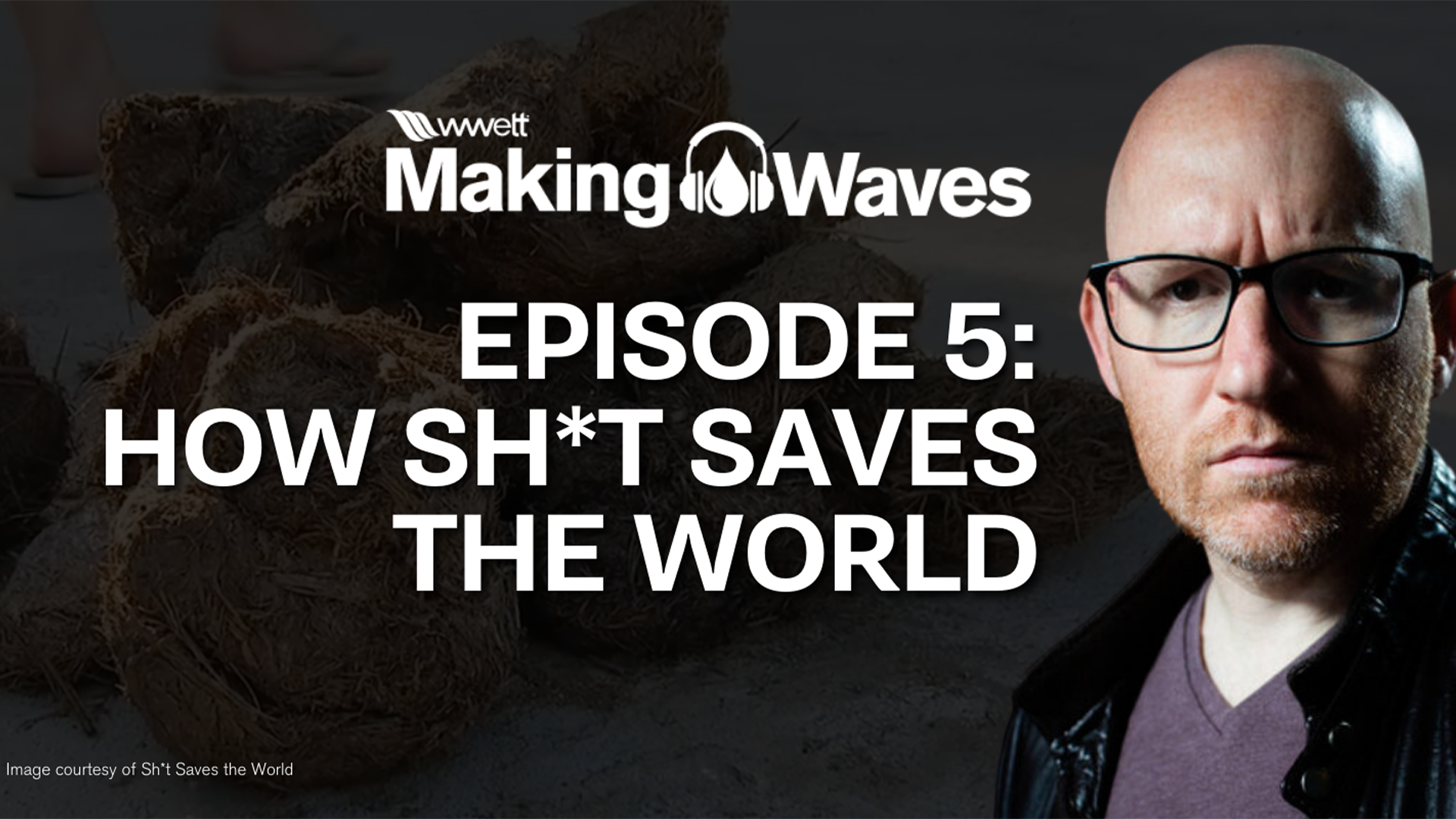 How Sh*t Saves The World
