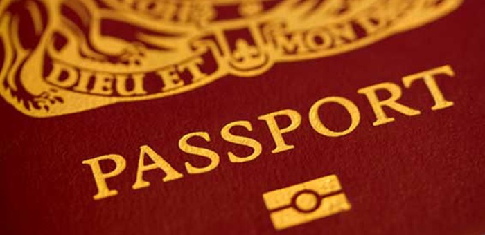 burgundy and gold passport