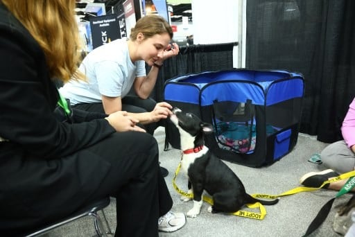 CRE25WET-AH-Indy_Humane
